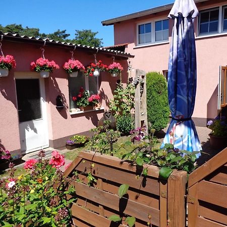 Ferienwohnung Duehne Ostseebad Kühlungsborn Eksteriør bilde